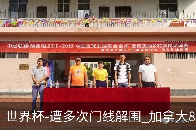 世界杯-遭多次门线解围 加拿大8射4正半场暂0-0南非