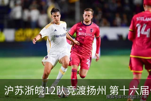 沪苏浙皖12队竞渡扬州 第十六届长三角龙舟赛擂鼓开桨